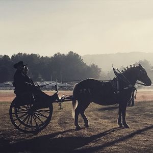 Meet your Posher, Jaimie